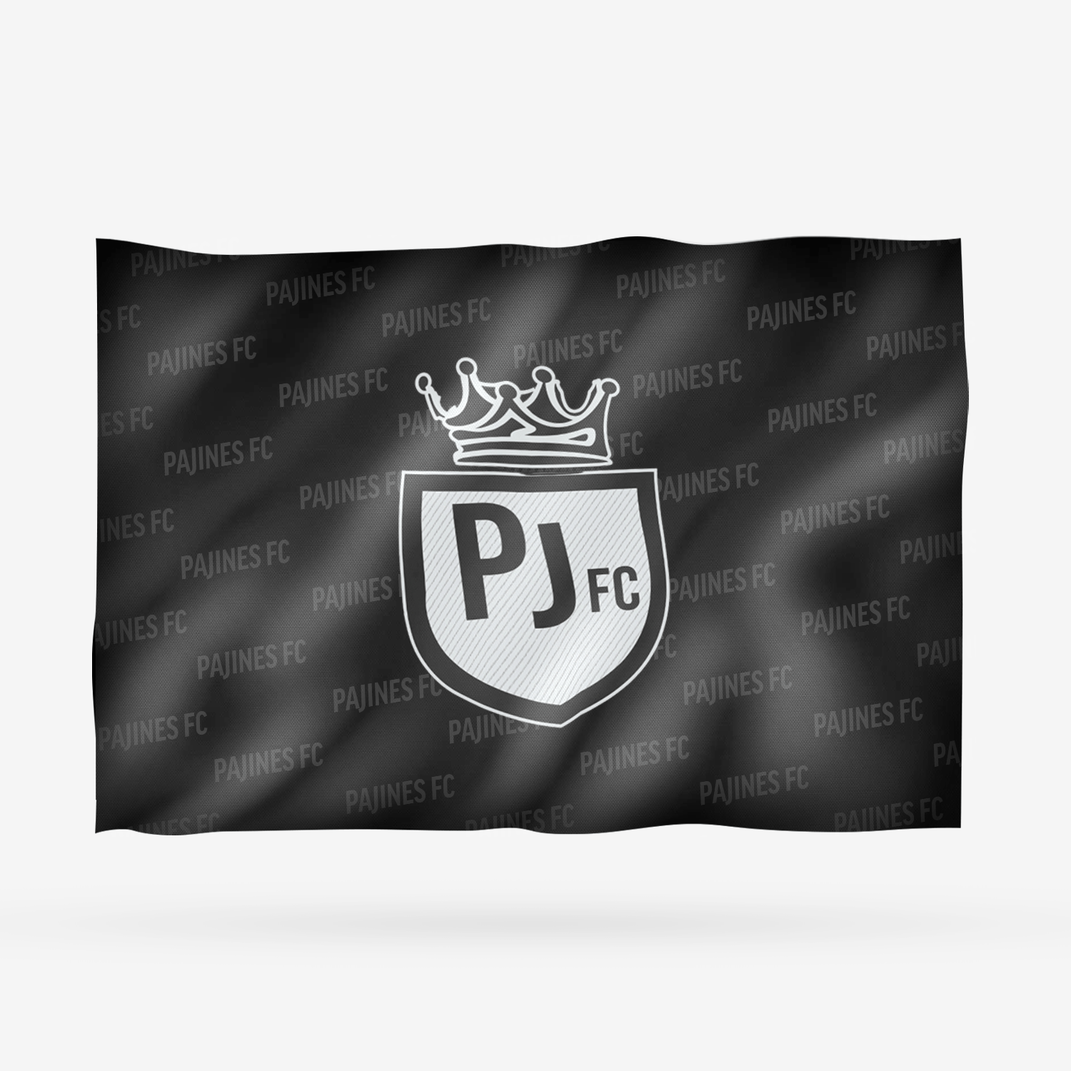 PAJINES FC - Imagen 4