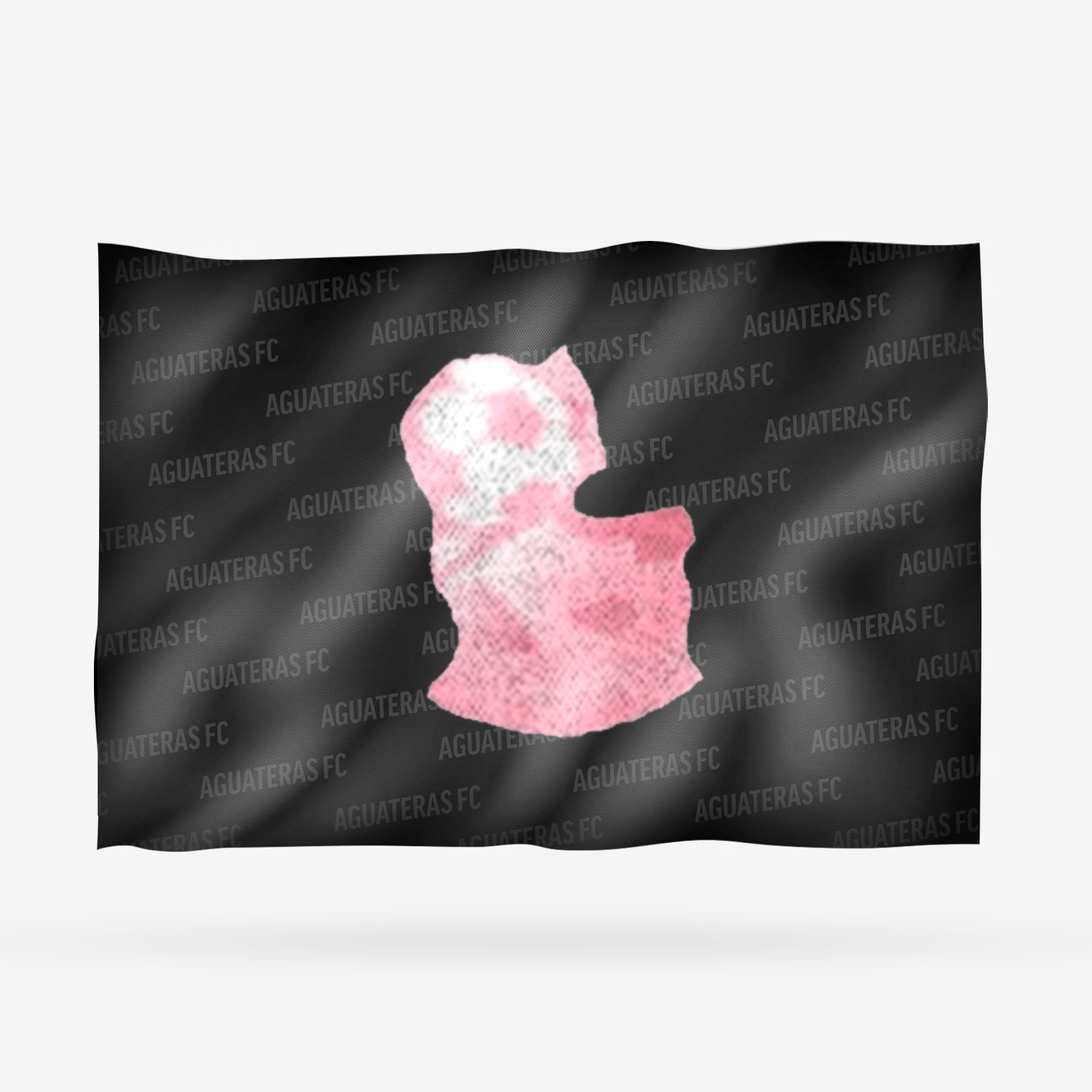 AGUATERAS FC - Imagen 10