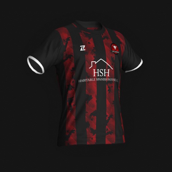 FC DIMON