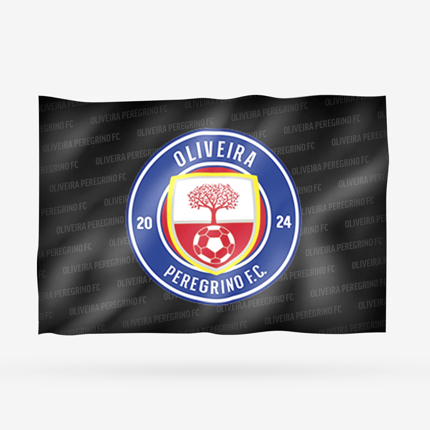 OLIVEIRA PEREGRINO FC - Imagen 6
