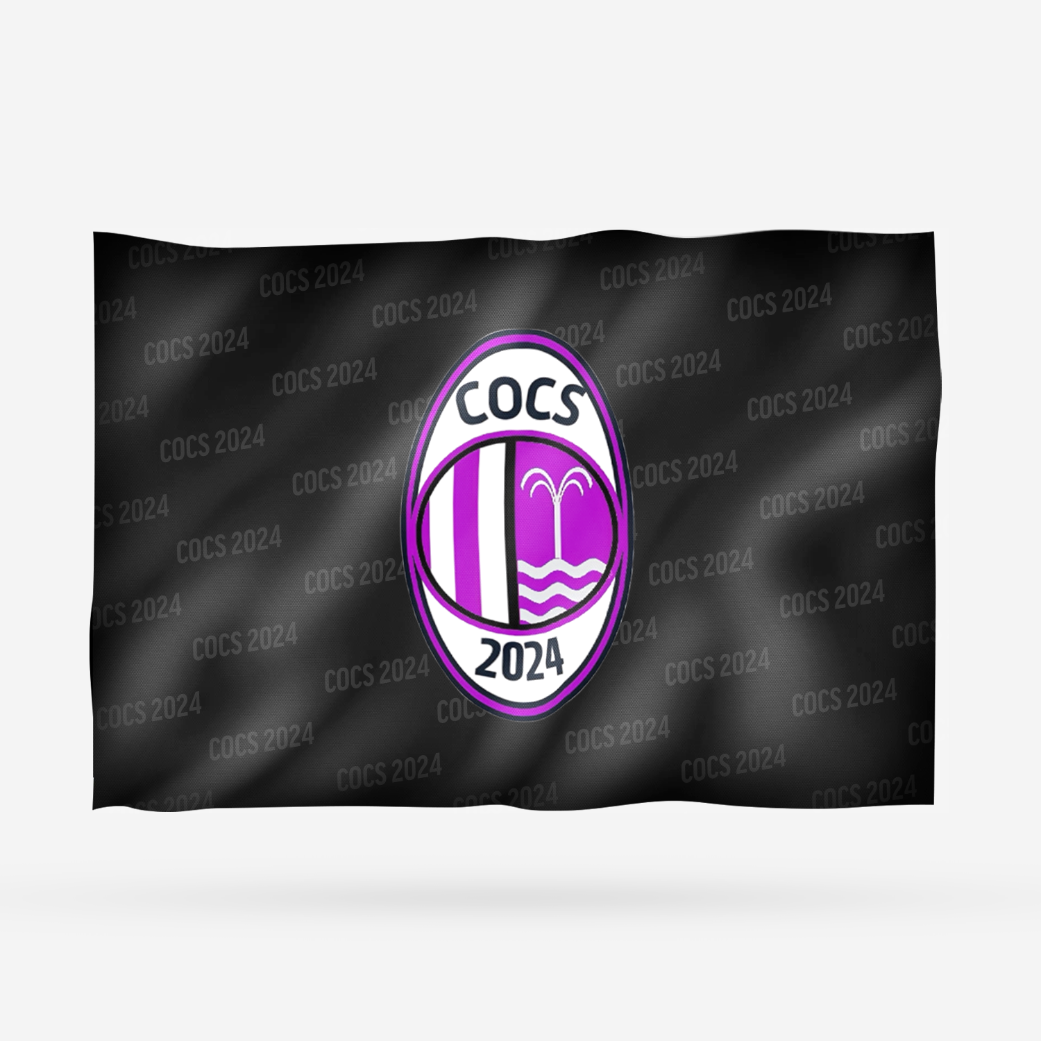 COCS 2024 - Imagen 6