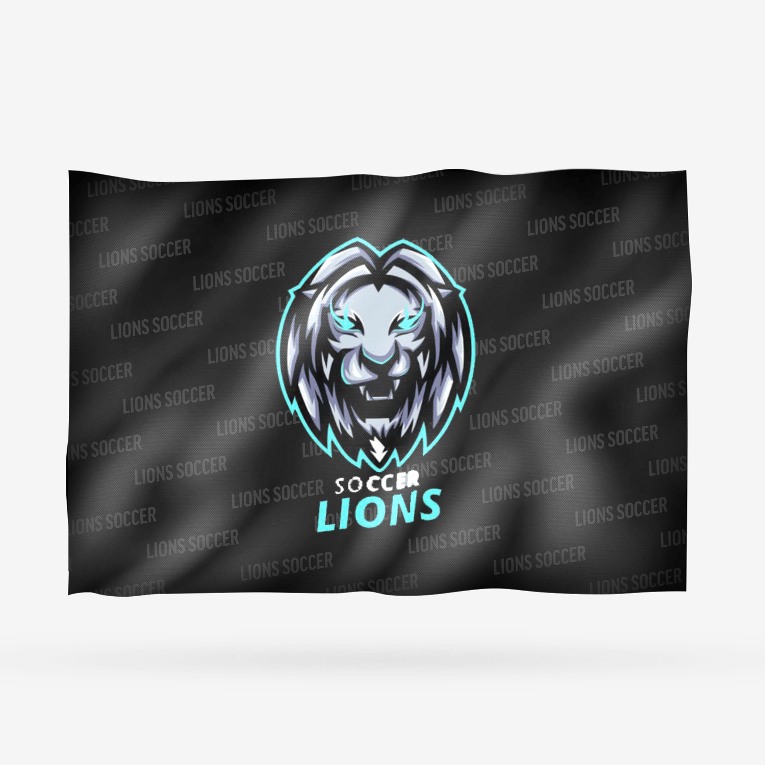 LIONS SOCCER - Imagen 9