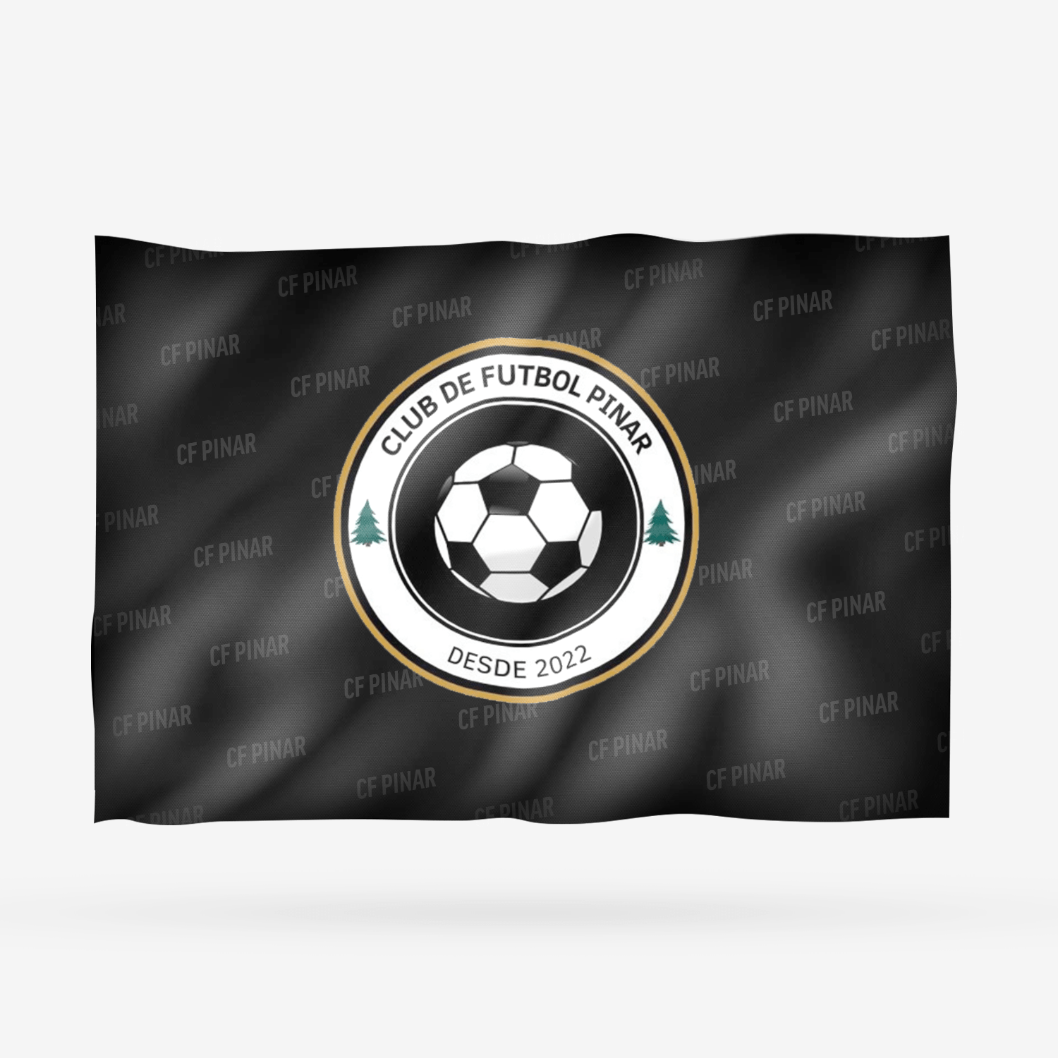 CF PINAR - Imagen 8