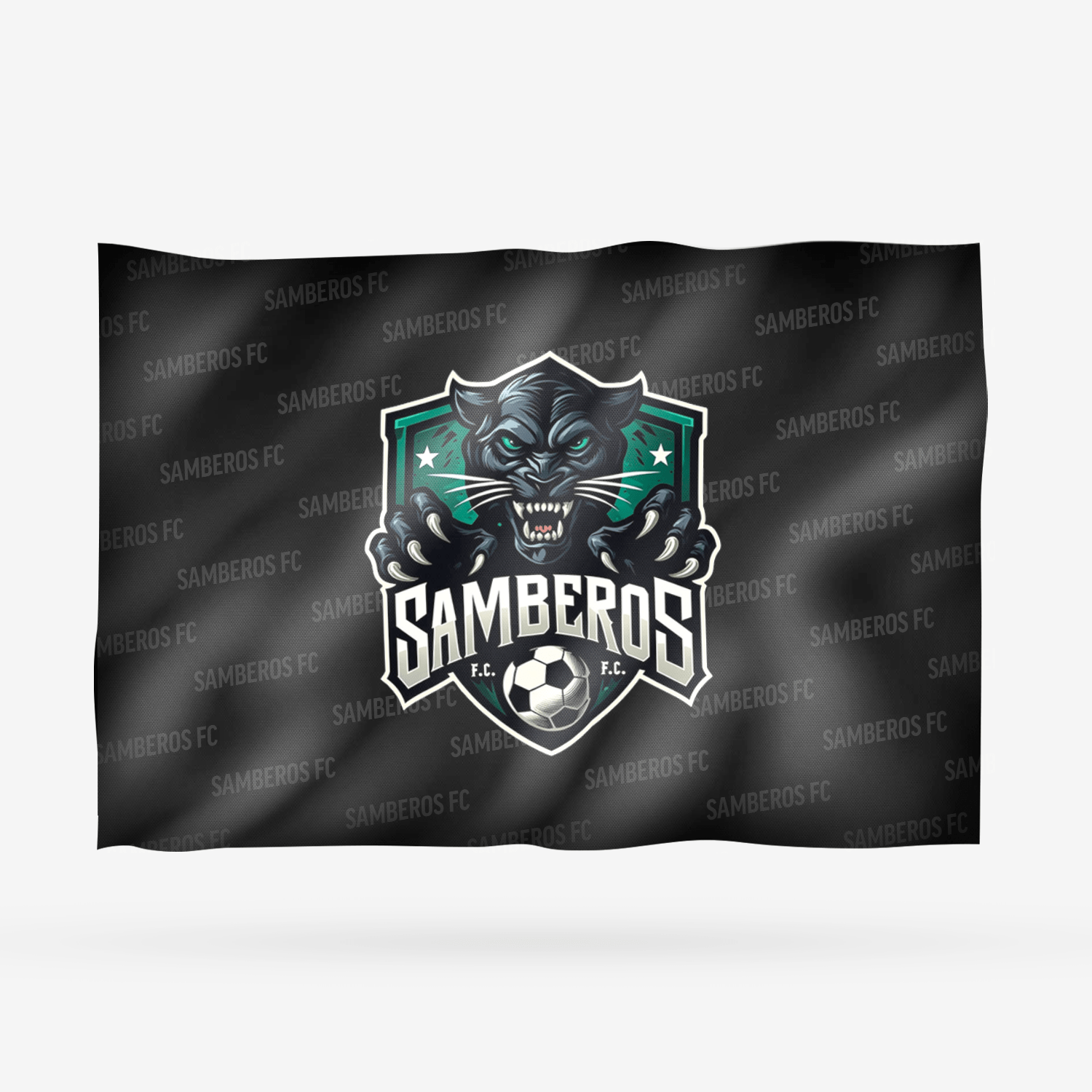 SAMBEROS FC - Imagen 8