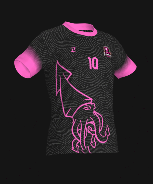 CALAMARS