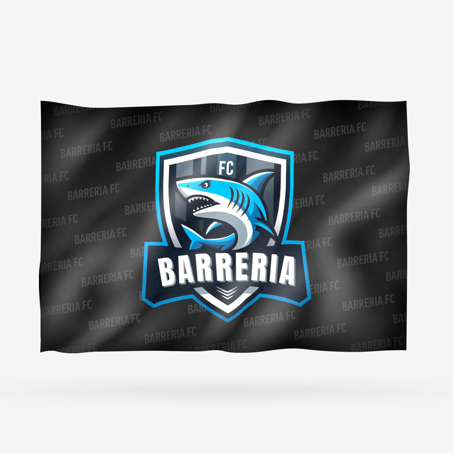 BARRERIA FC - Imagen 14