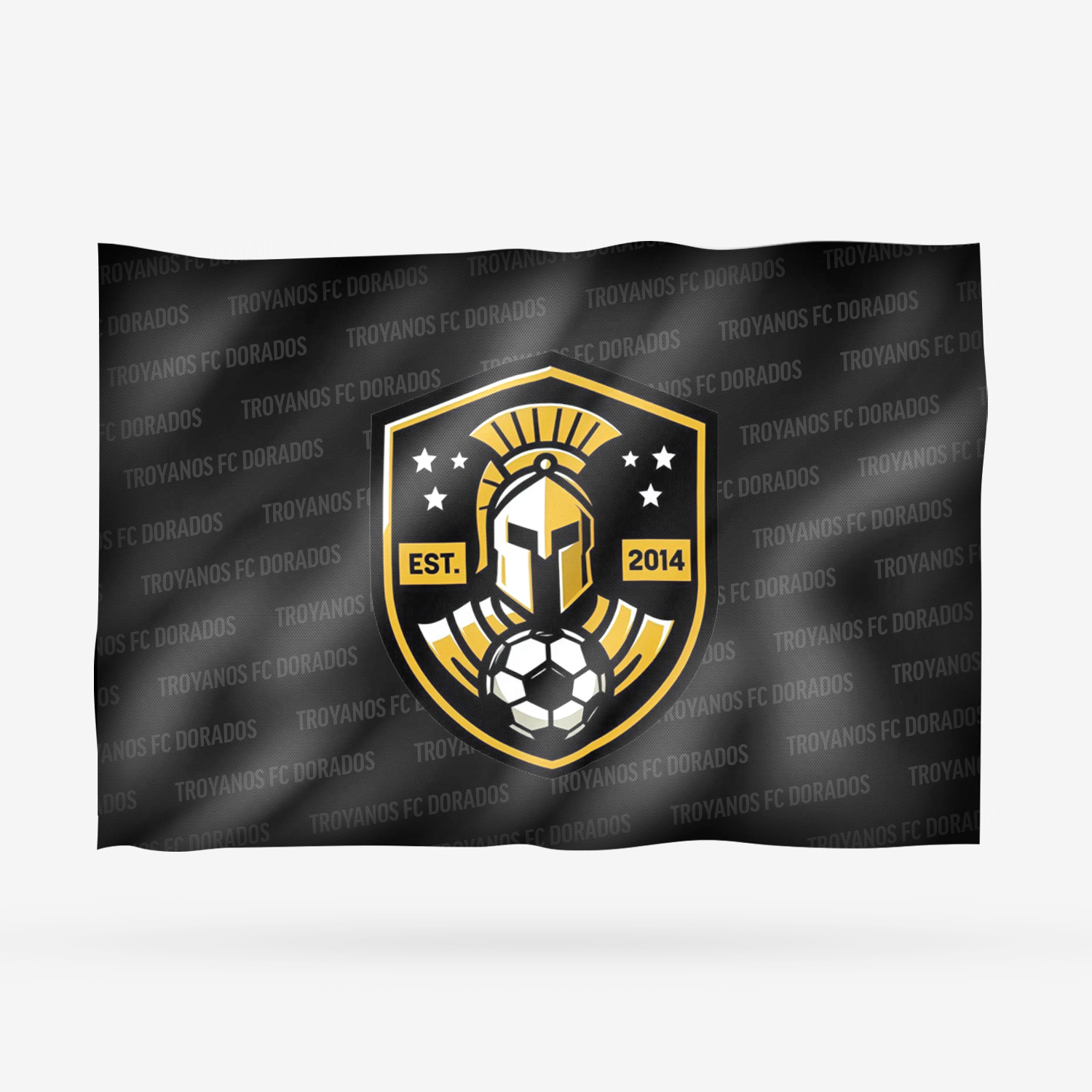 TROYANOS FC DORADOS - Imagen 8