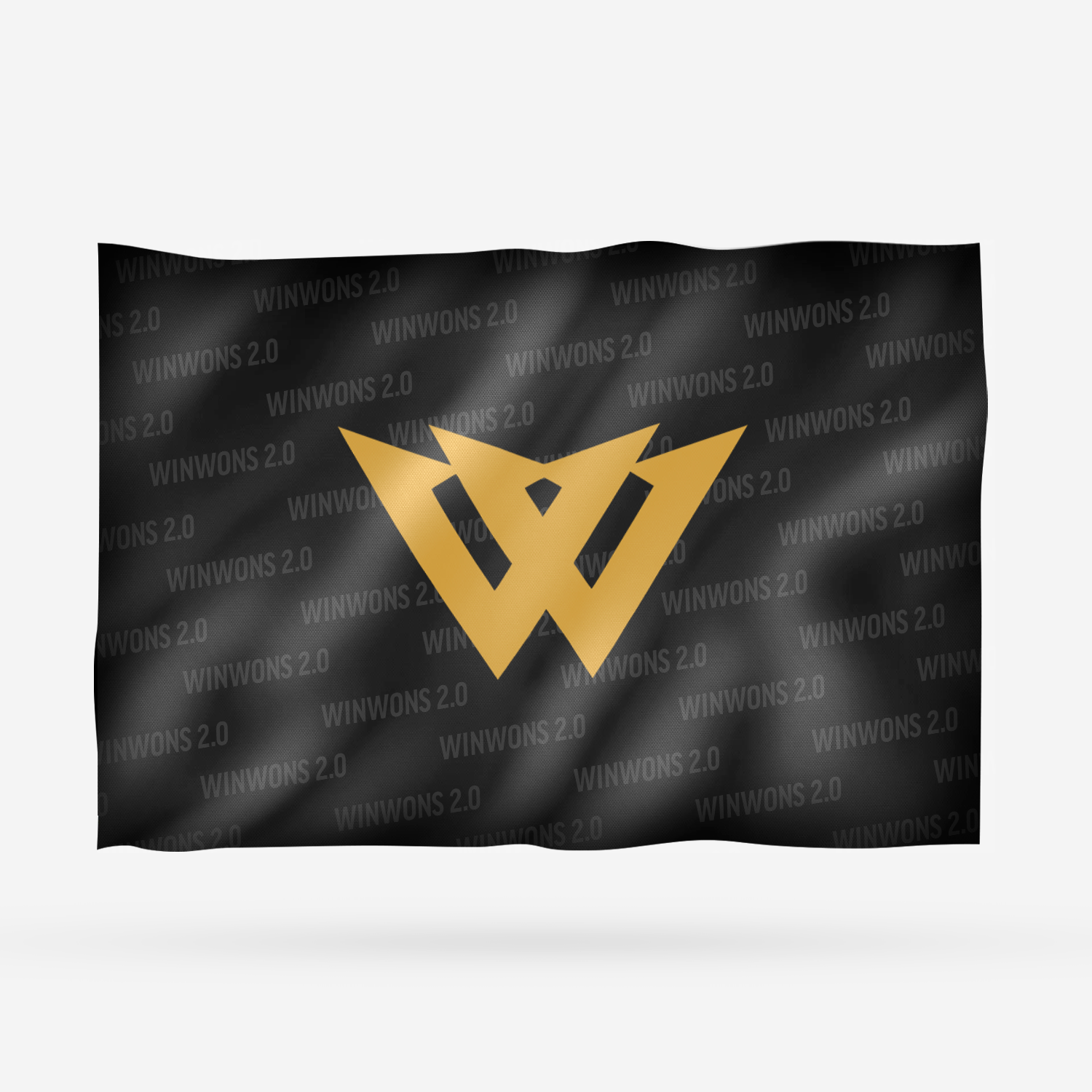 WINWONS 2.0 - Imagen 7