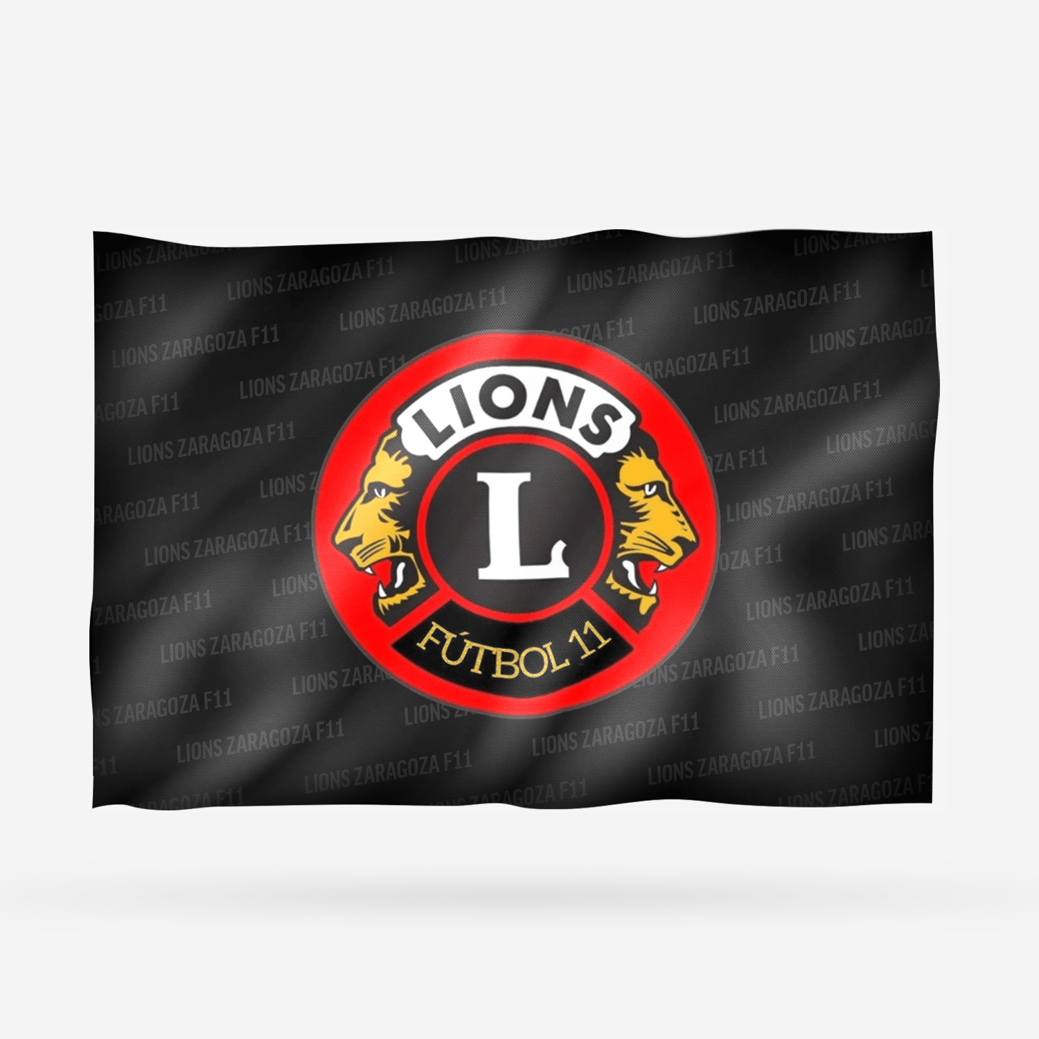 LIONS ZARAGOZA F11 2 - Imagen 8