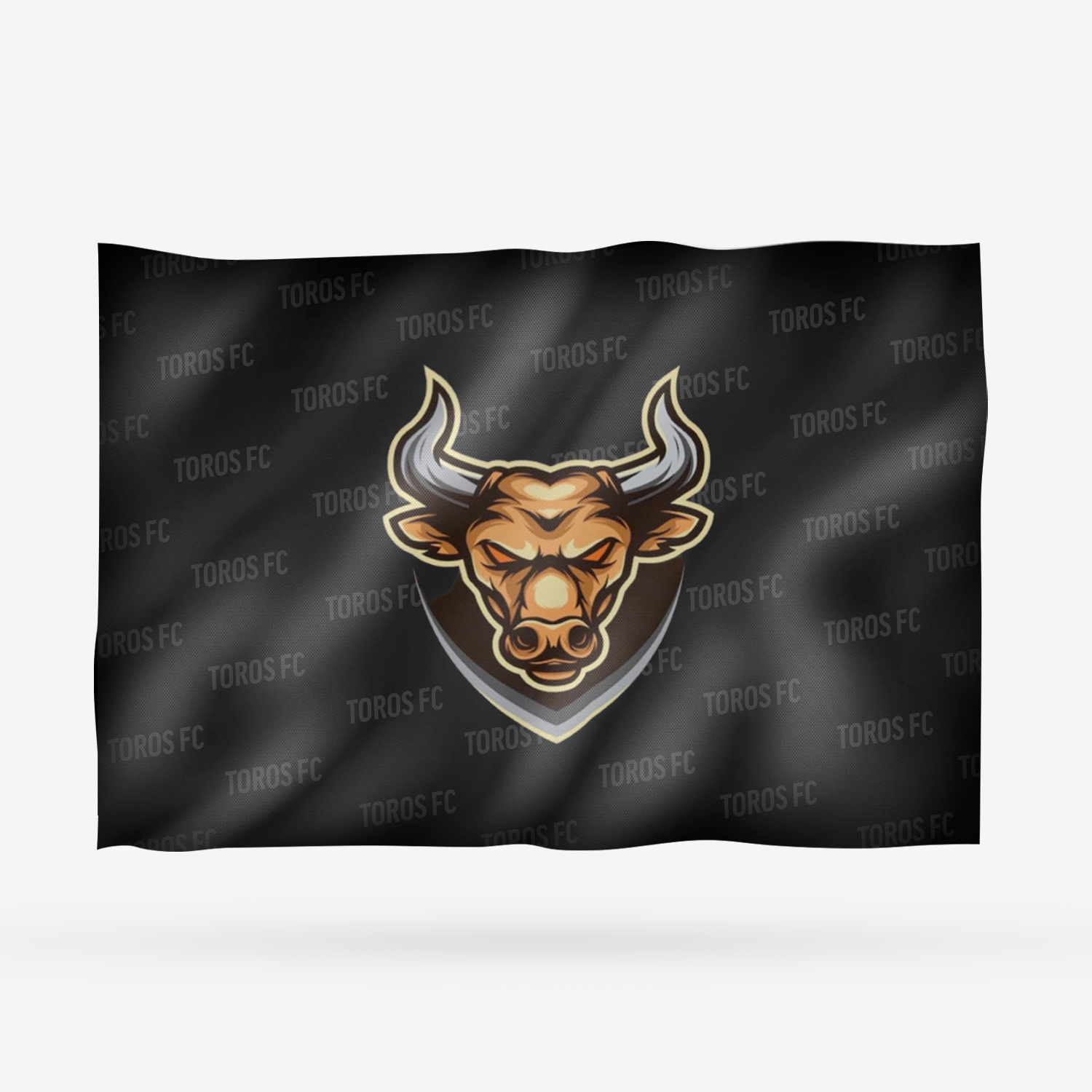 TOROS FC - Imagen 15