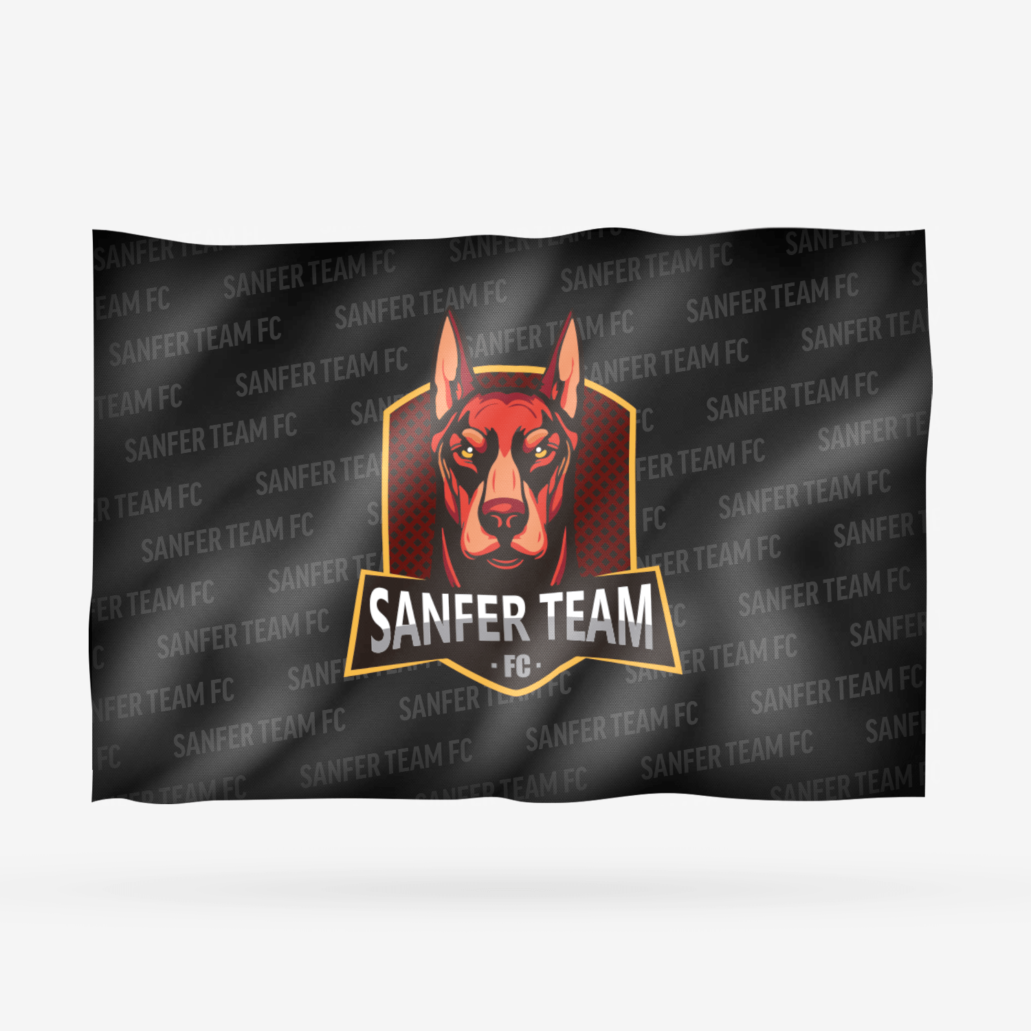 SANFER TEAM FC - Imagen 3
