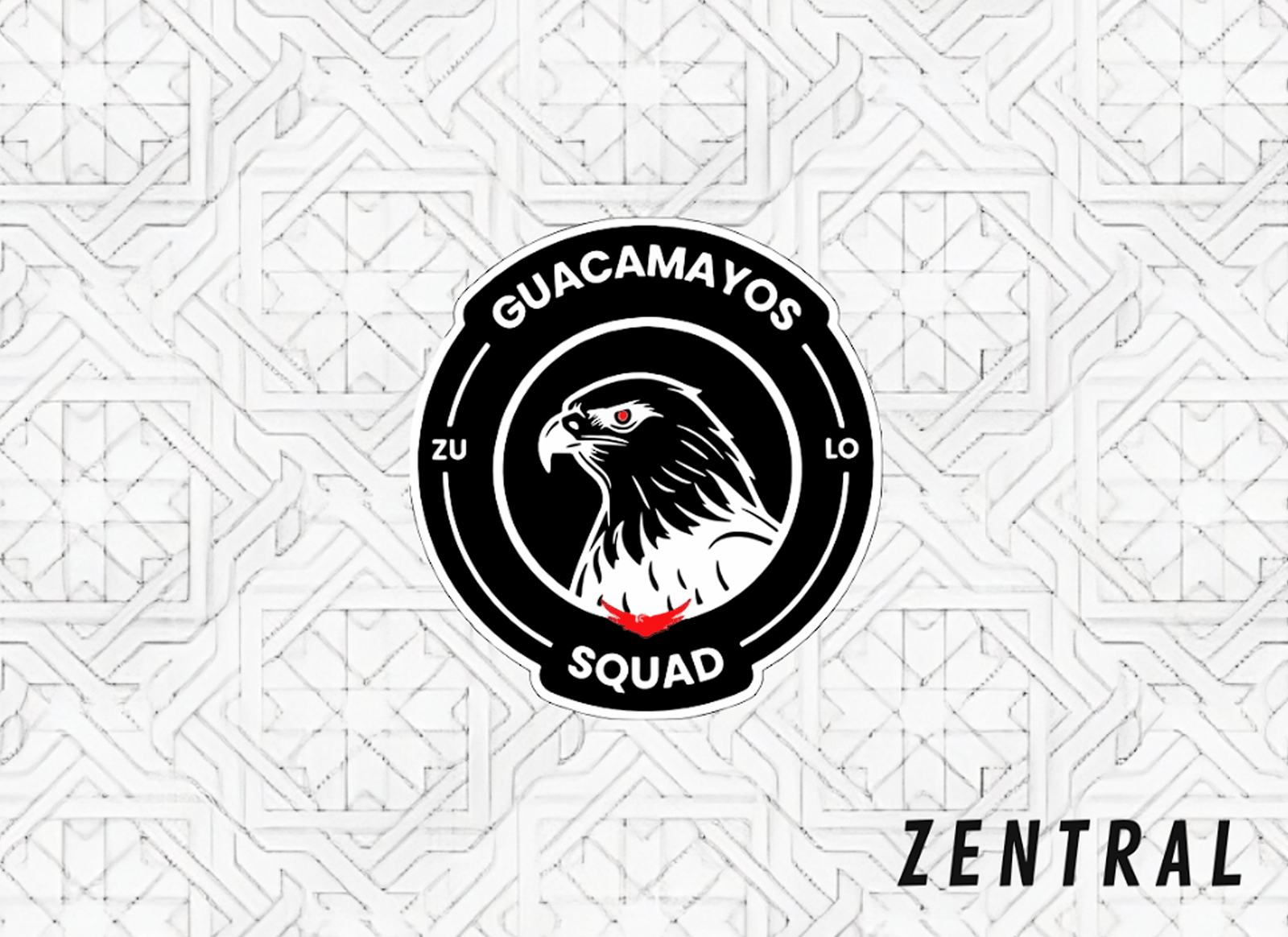 GUACAMAYOS FC - Imagen 5