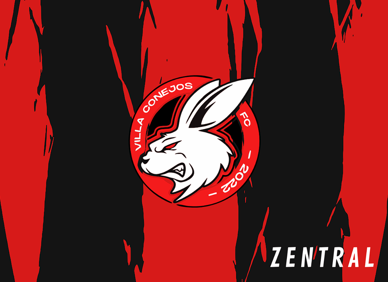 VILLACONEJOS FC - Imagen 4