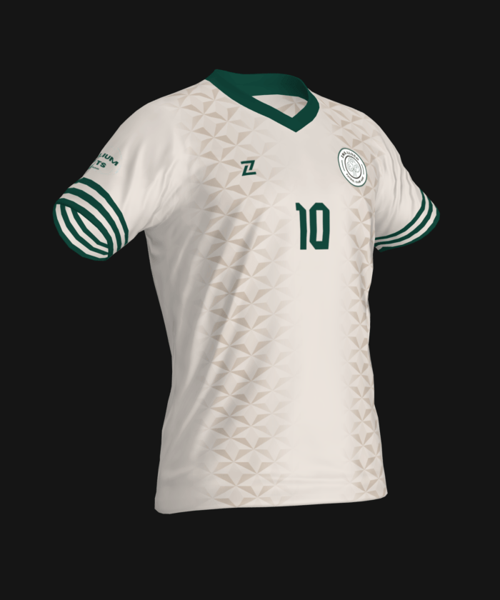 INSTITUT ERNETS LLUCH