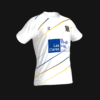 INTER DE VARILLAS