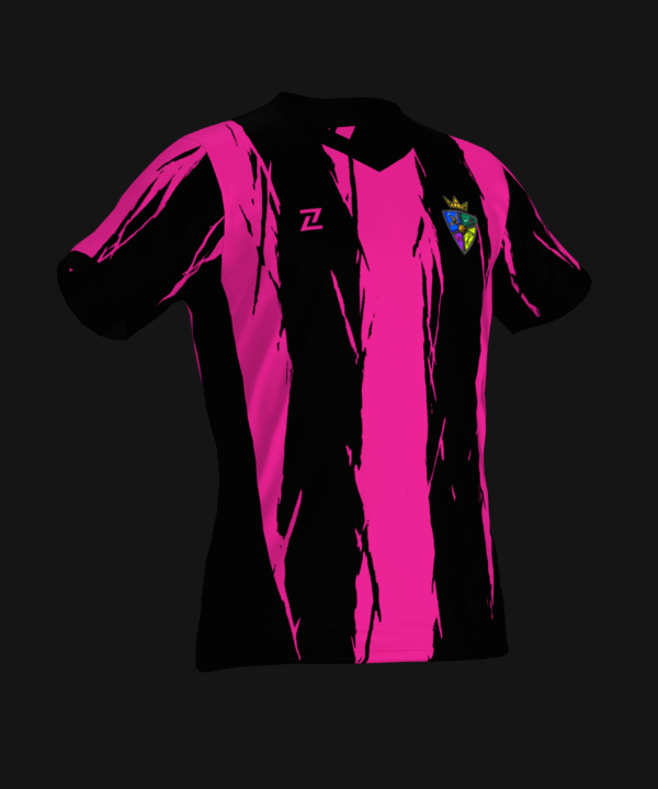 PARALITRICOS PFC