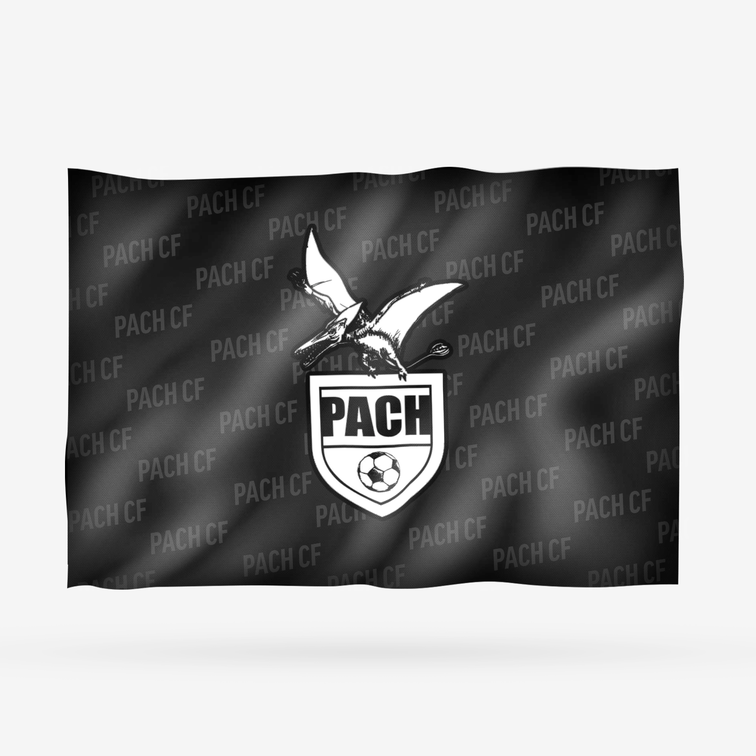 PACH CF - Imagen 9