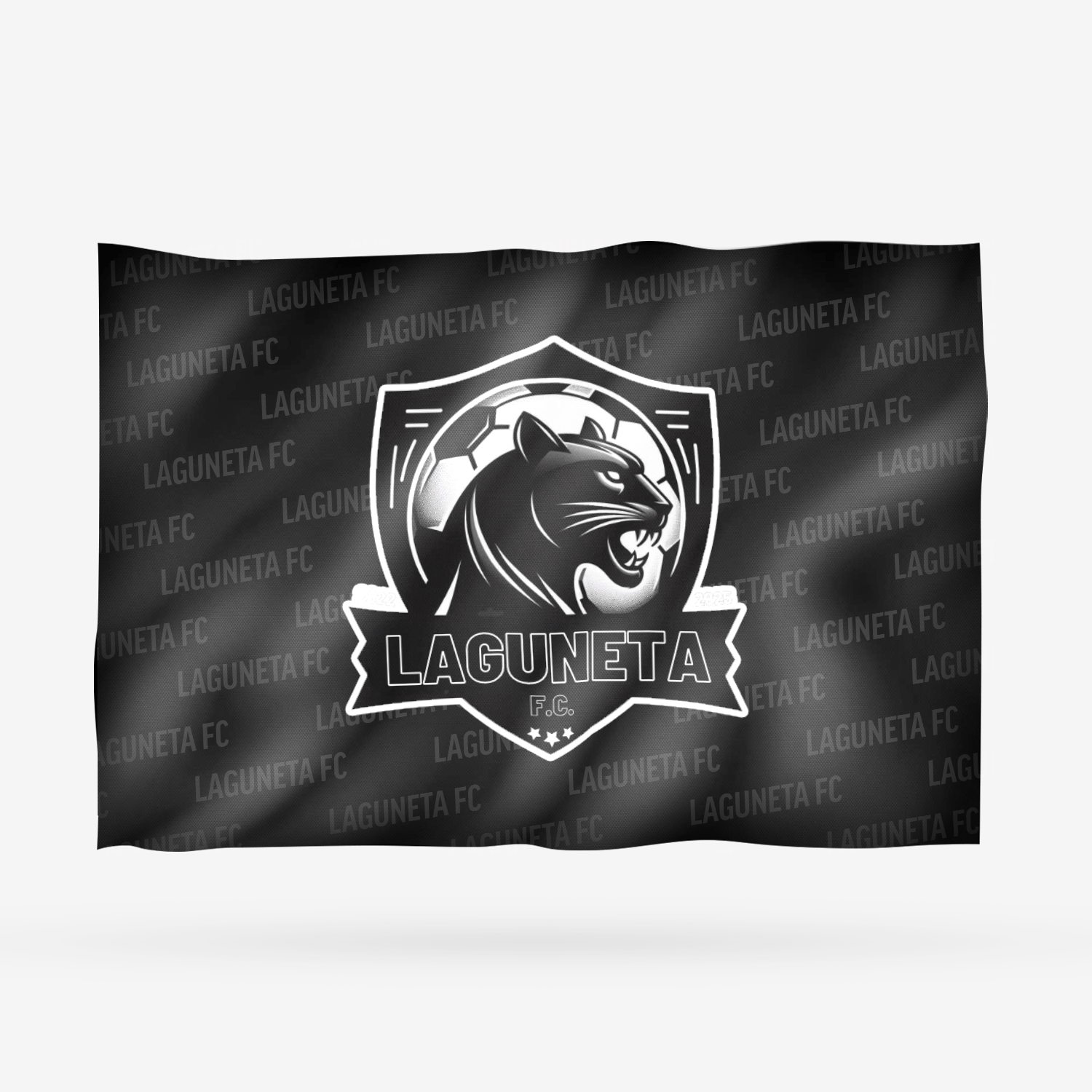 LAGUNETA FC - Imagen 8