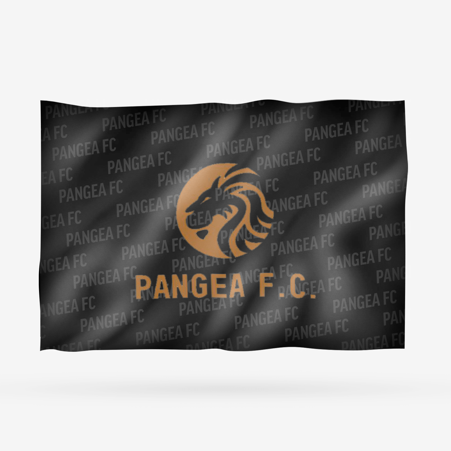 PANGEA FC - Imagen 9