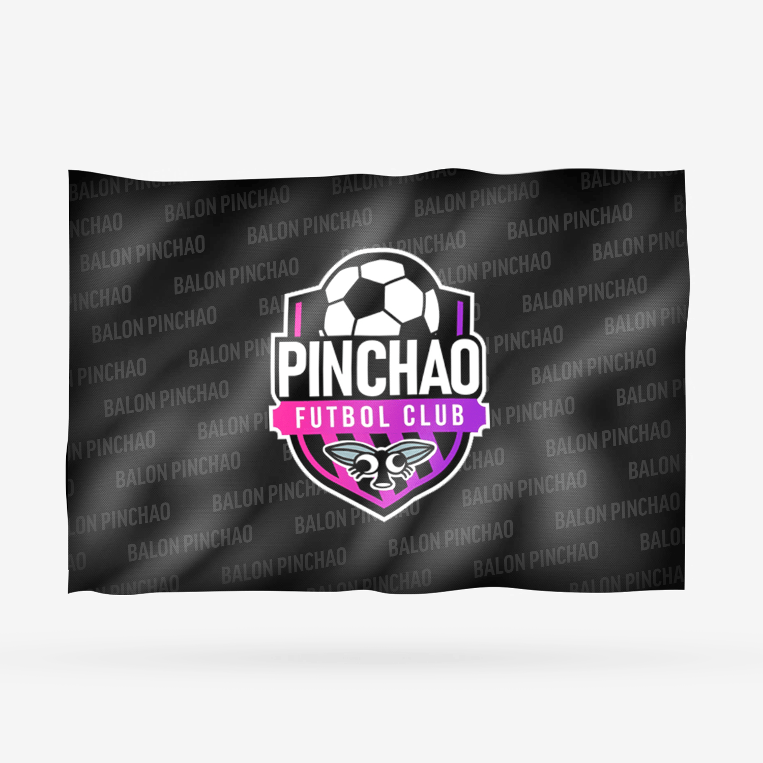 BALON PINCHAO - Imagen 7