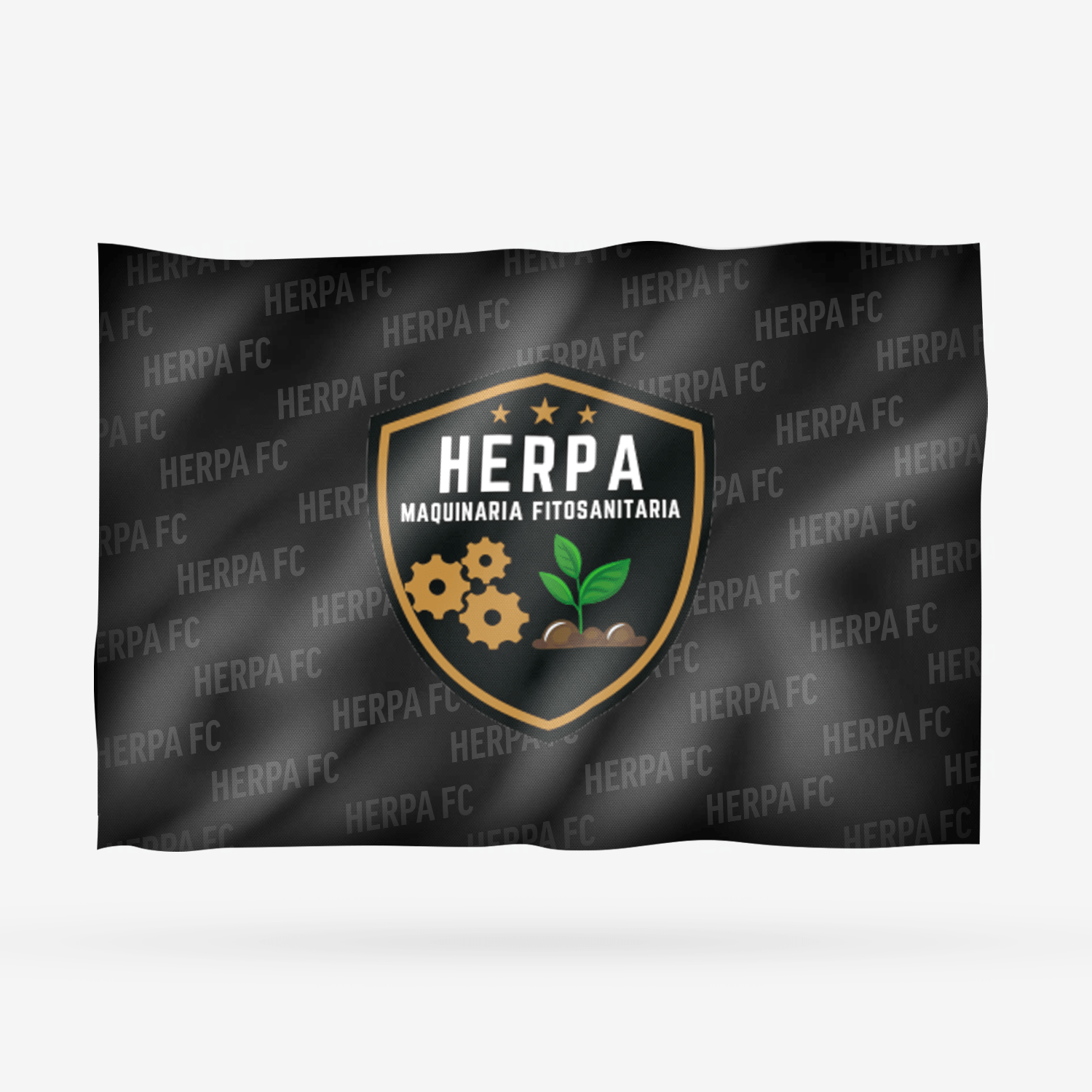 HERPA FC - Imagen 16