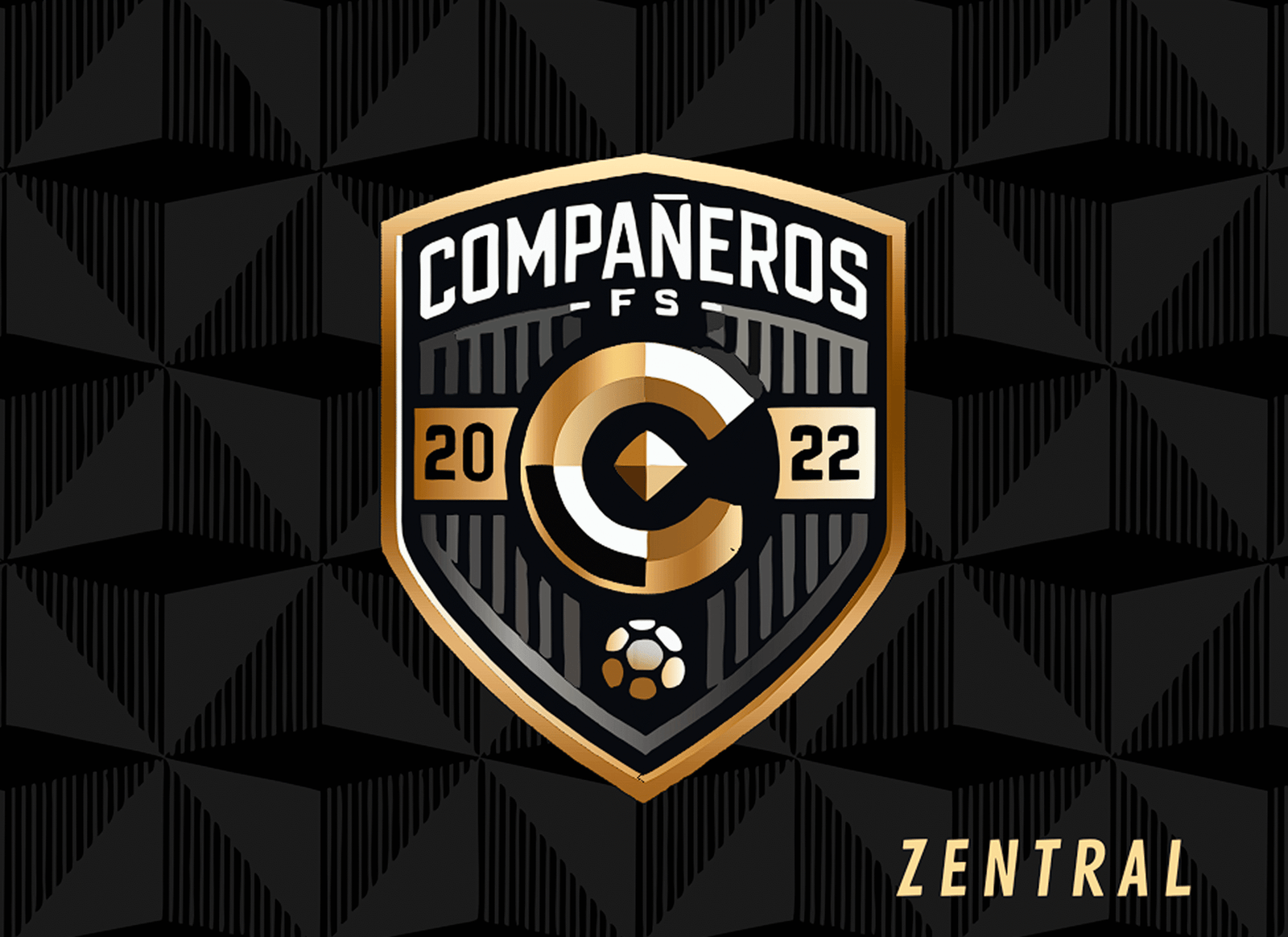 COMPAÑEROS FS - Imagen 4
