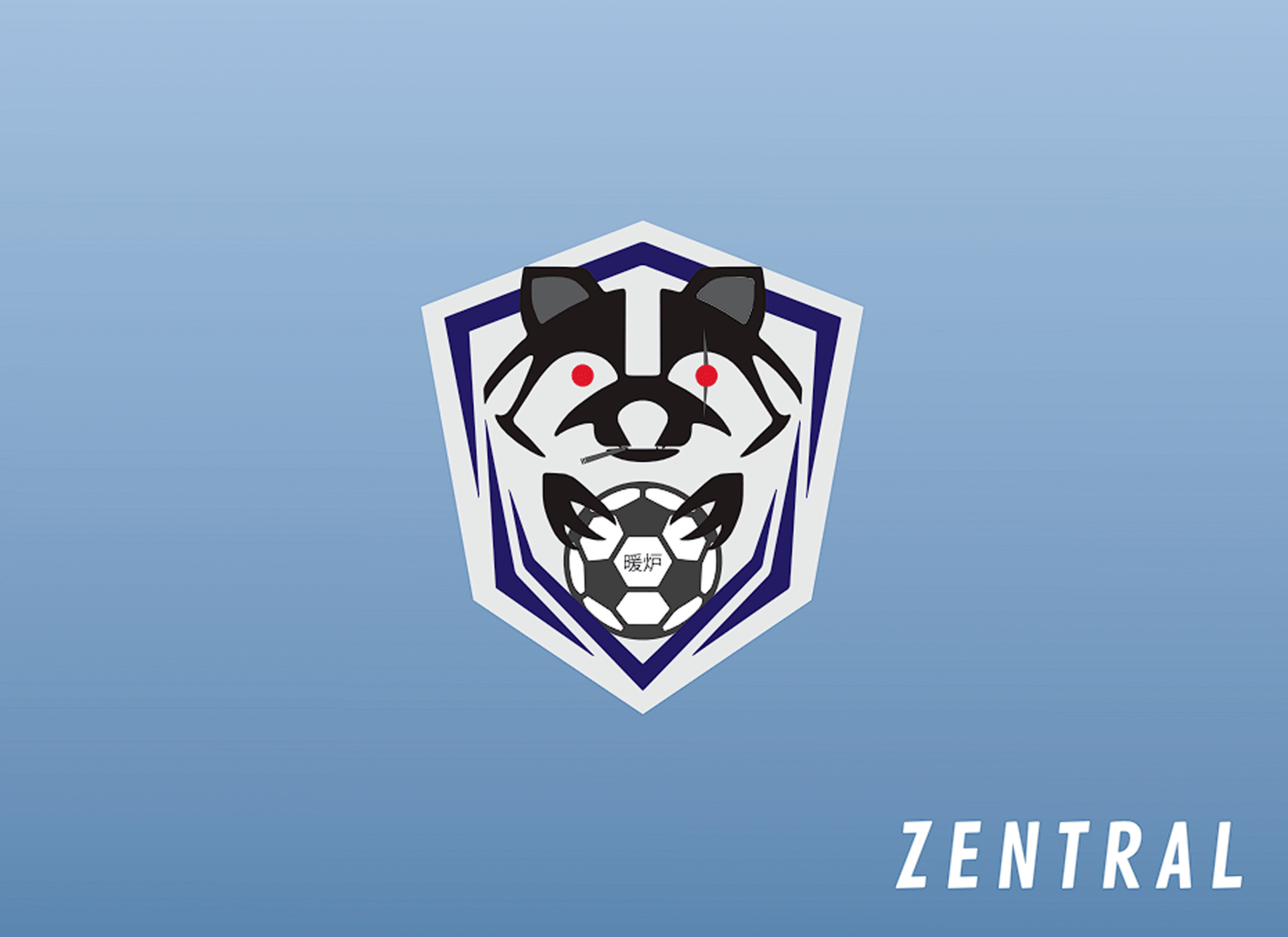 LOS CHIMIS FC 2 - Imagen 4