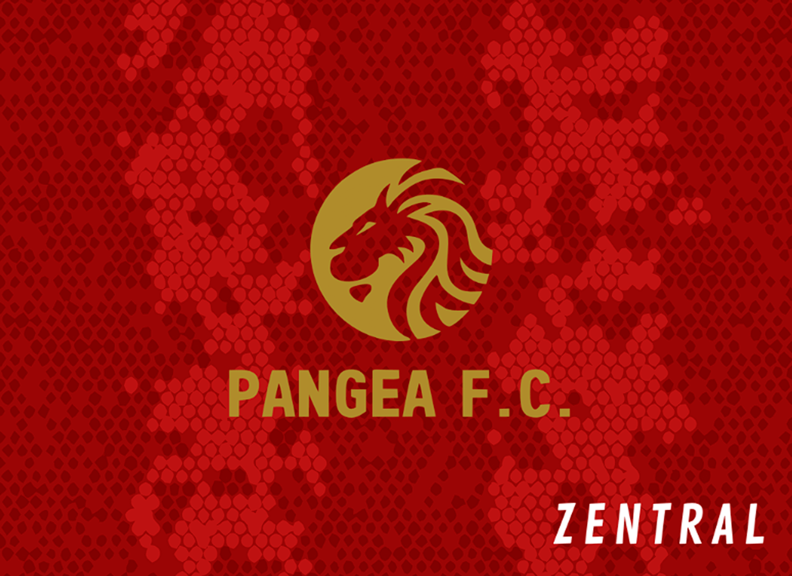 PANGEA FC - Imagen 4