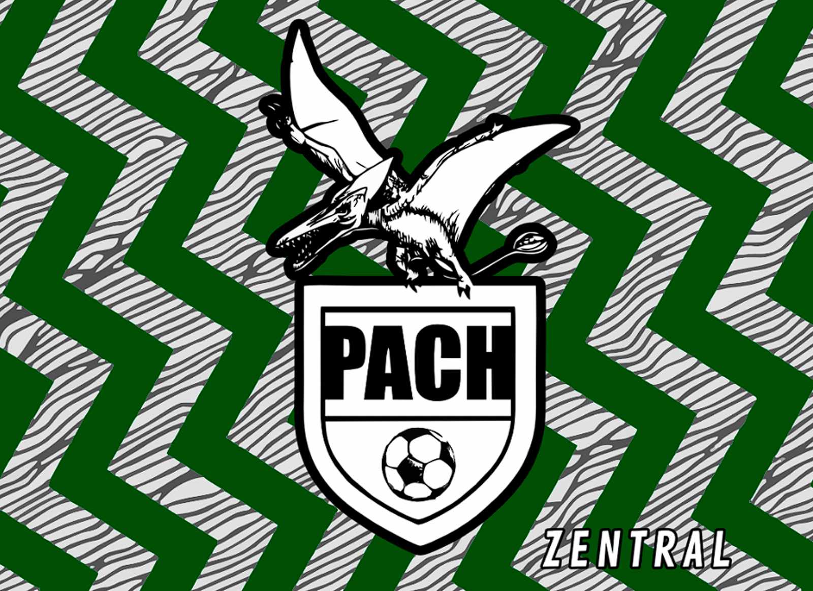 PACH CF - Imagen 9