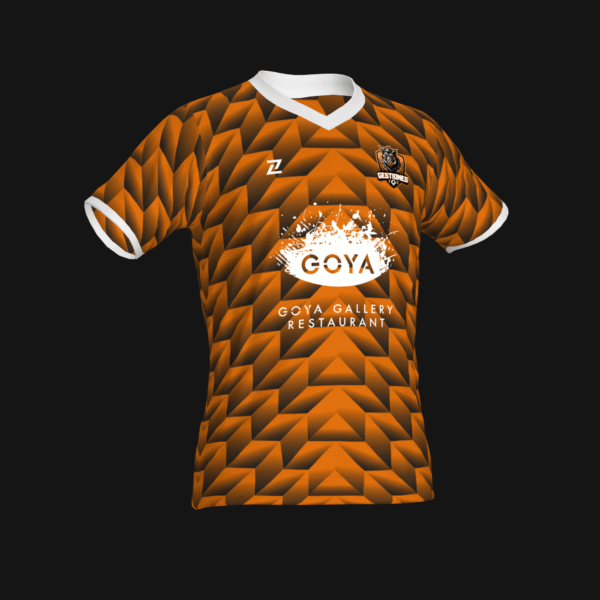 GESTIONES FC 25