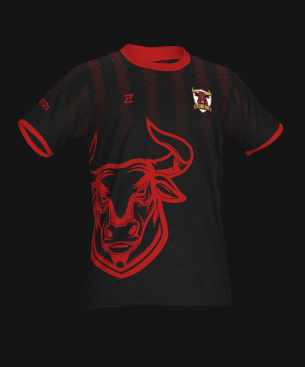 TORINO FC 21