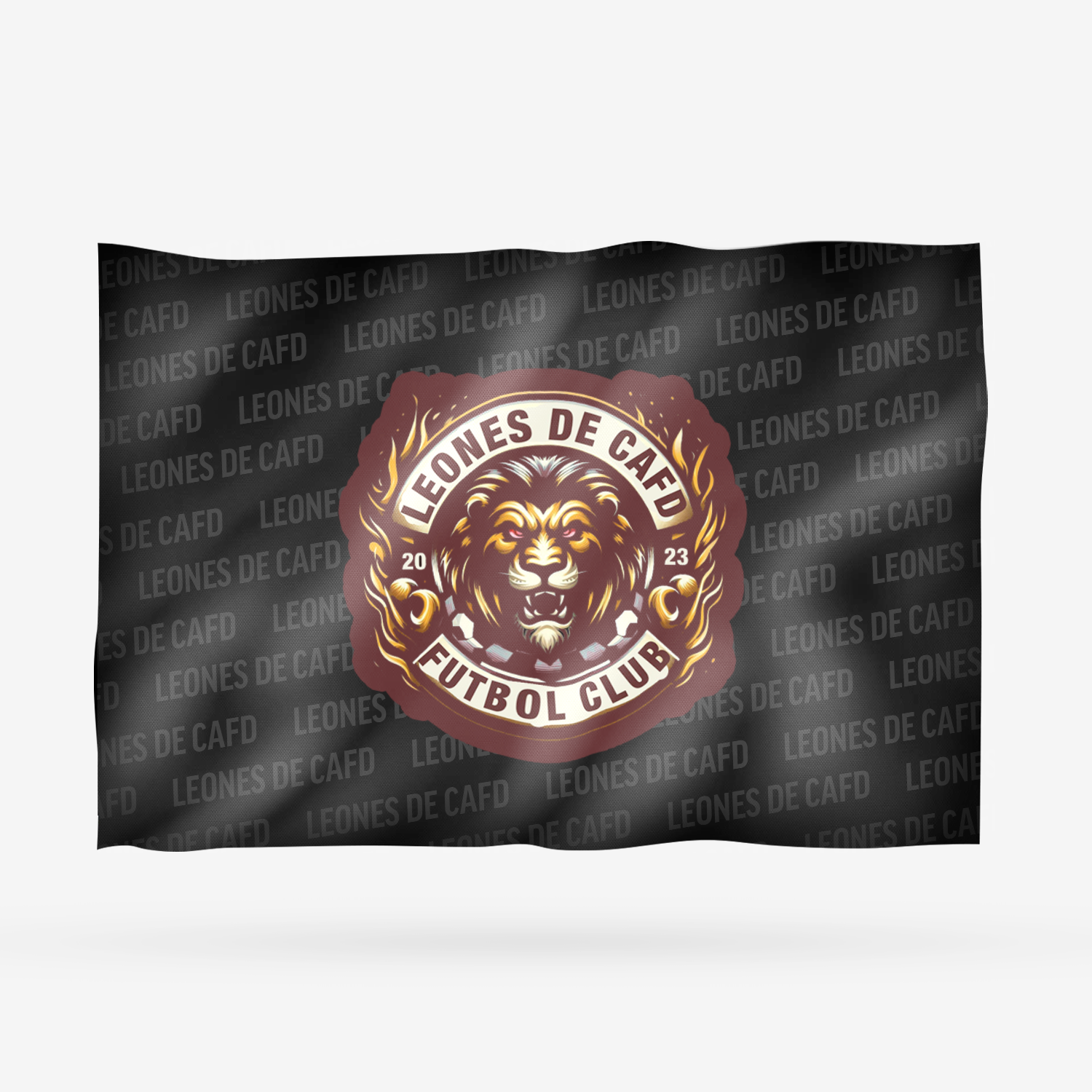 LEONES DE CAFD - Imagen 6