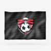 NOTTINGHAM MIEDO FC HERNANI - Imagen 10