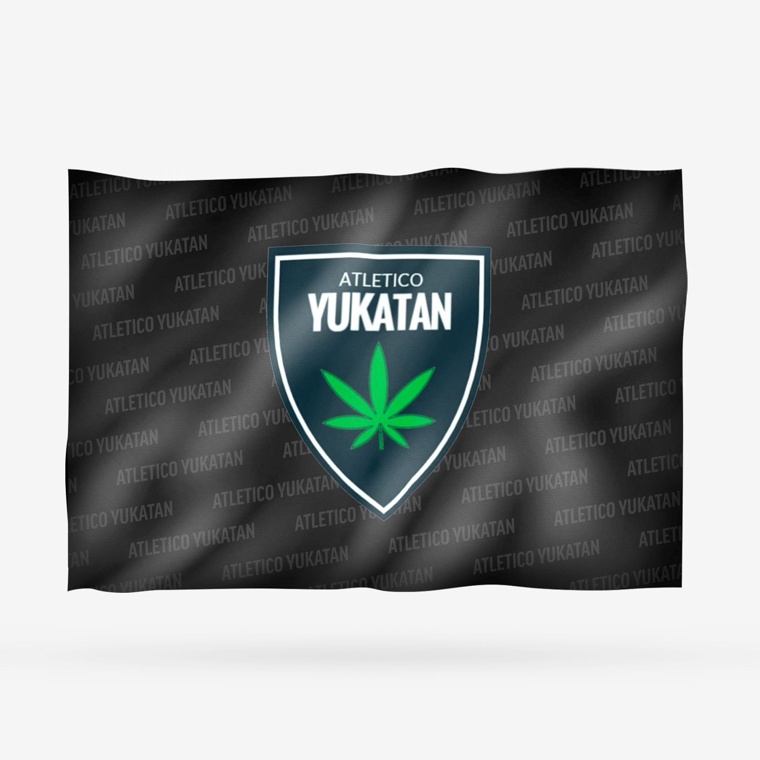 ATLETICO YUKATAN - Imagen 5