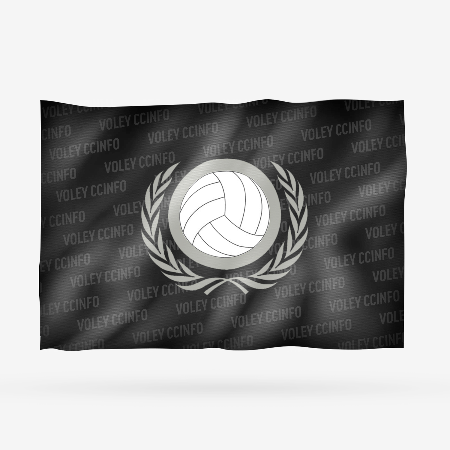 VOLEY CCINFO - Imagen 7