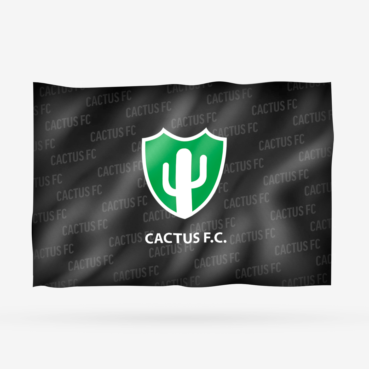 CACTUS FC - Imagen 5