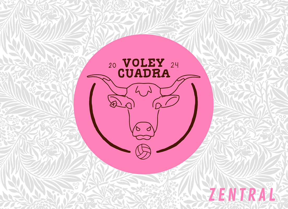 VOLEY CUADRA FEMENINO - Imagen 6