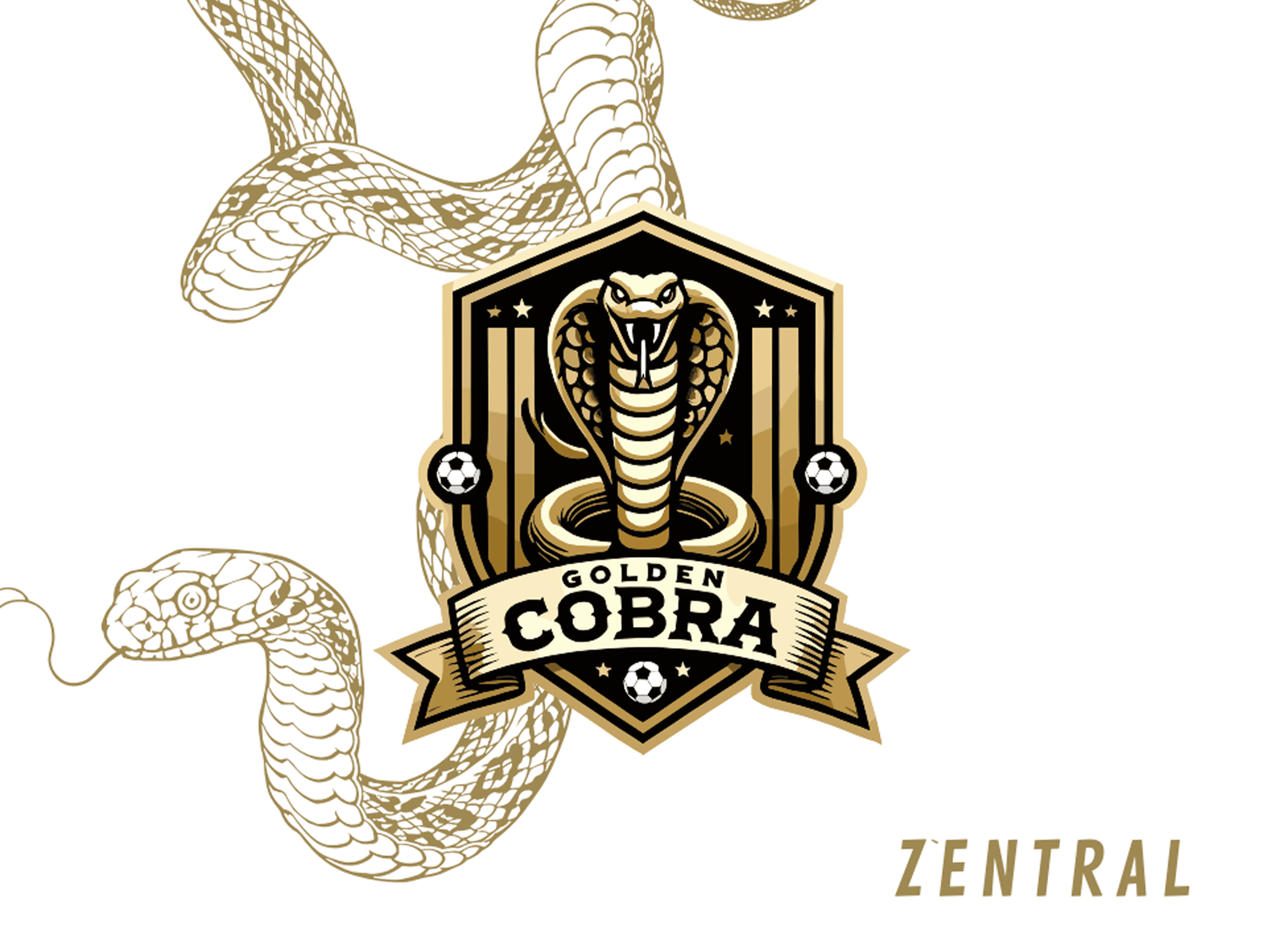 GOLDEN COBRA - Imagen 6