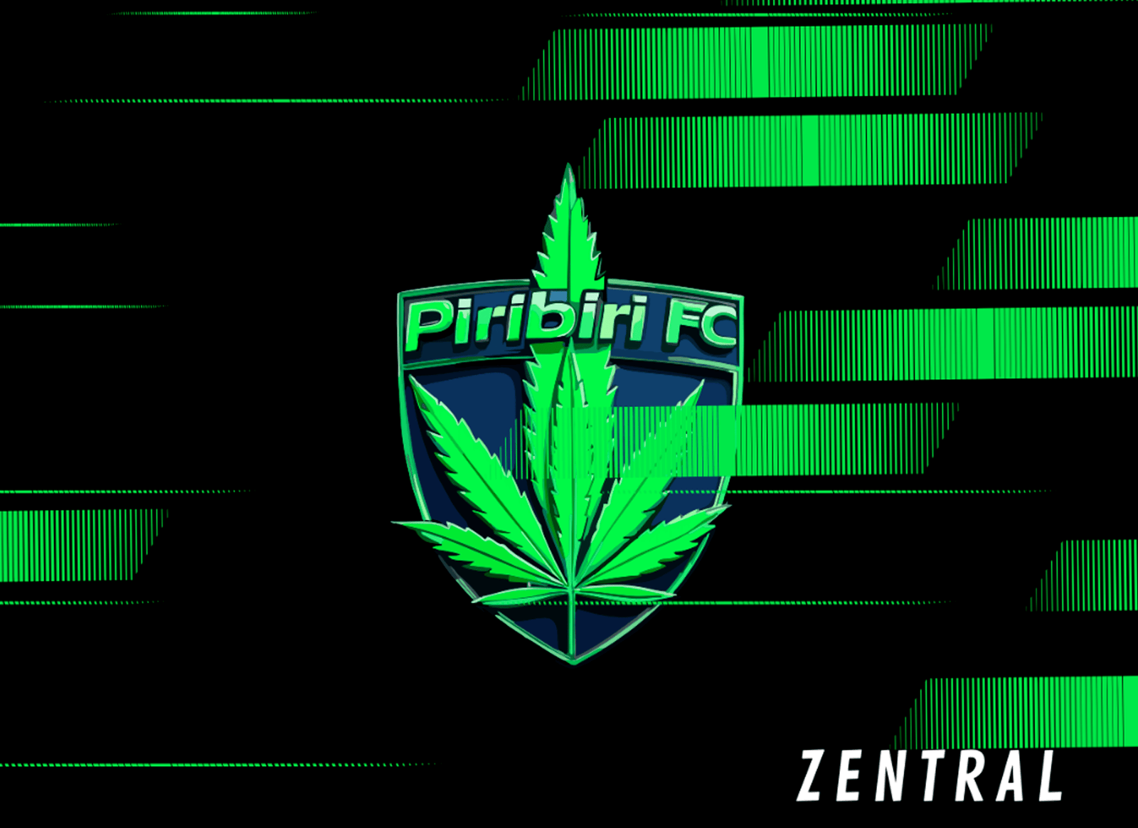 PIRIBIRI FC - Imagen 8