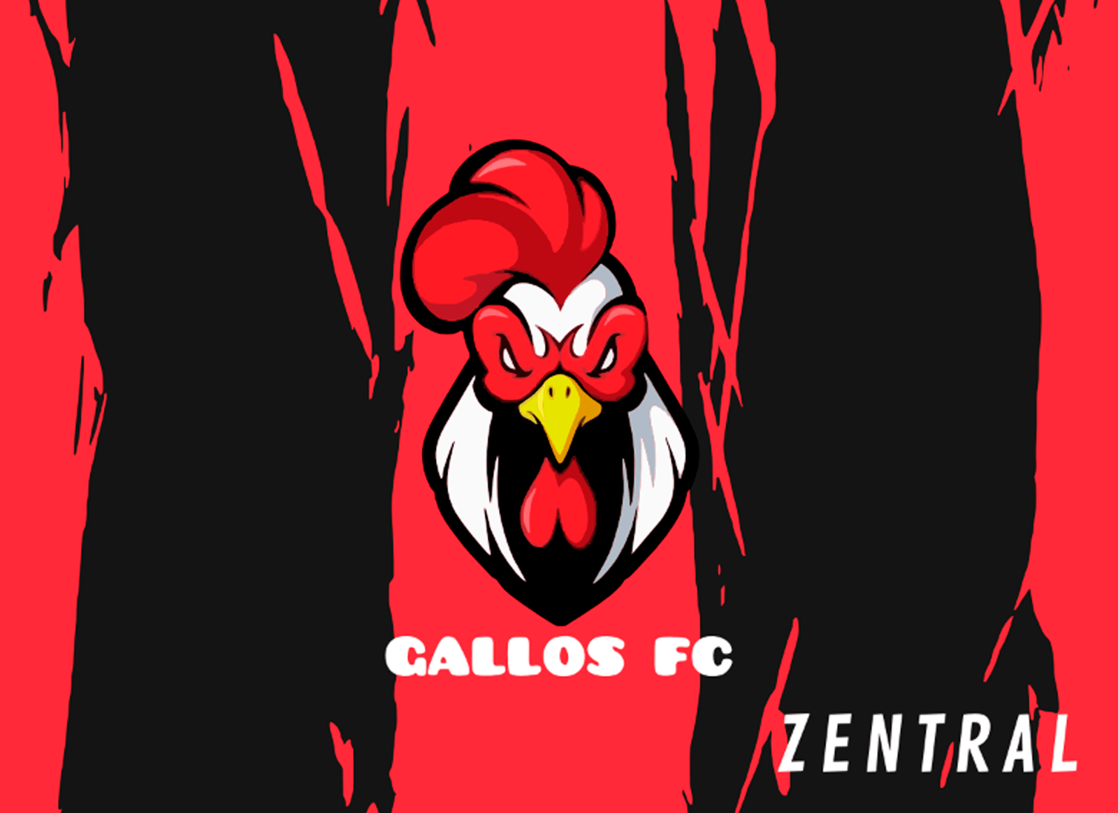 GALLOS FC - Imagen 9