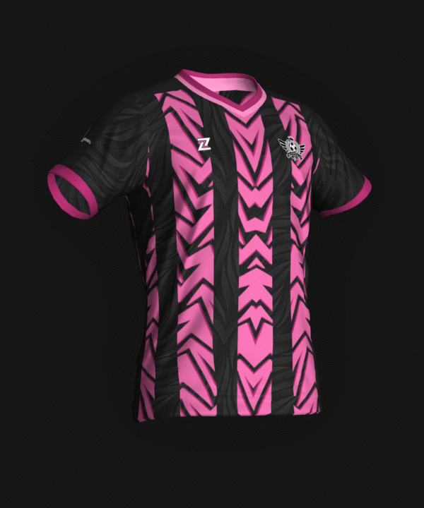 SIN PUNTERÍA FC
