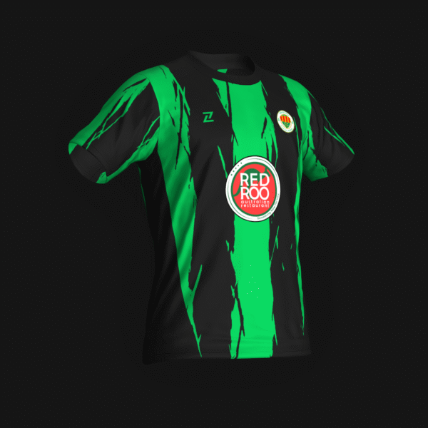PROYECTO 33