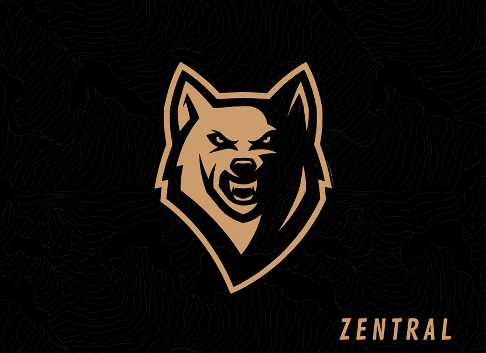 TEAM WOLFF 2025 - Imagen 9