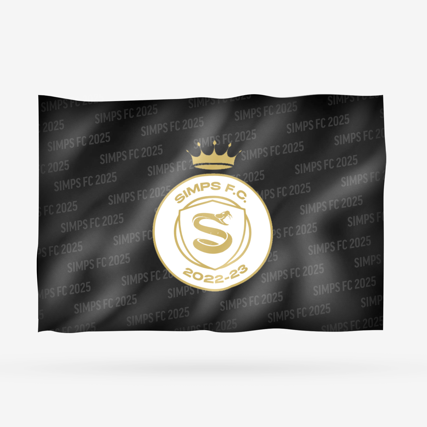 SIMPS FC 2025 - Imagen 11