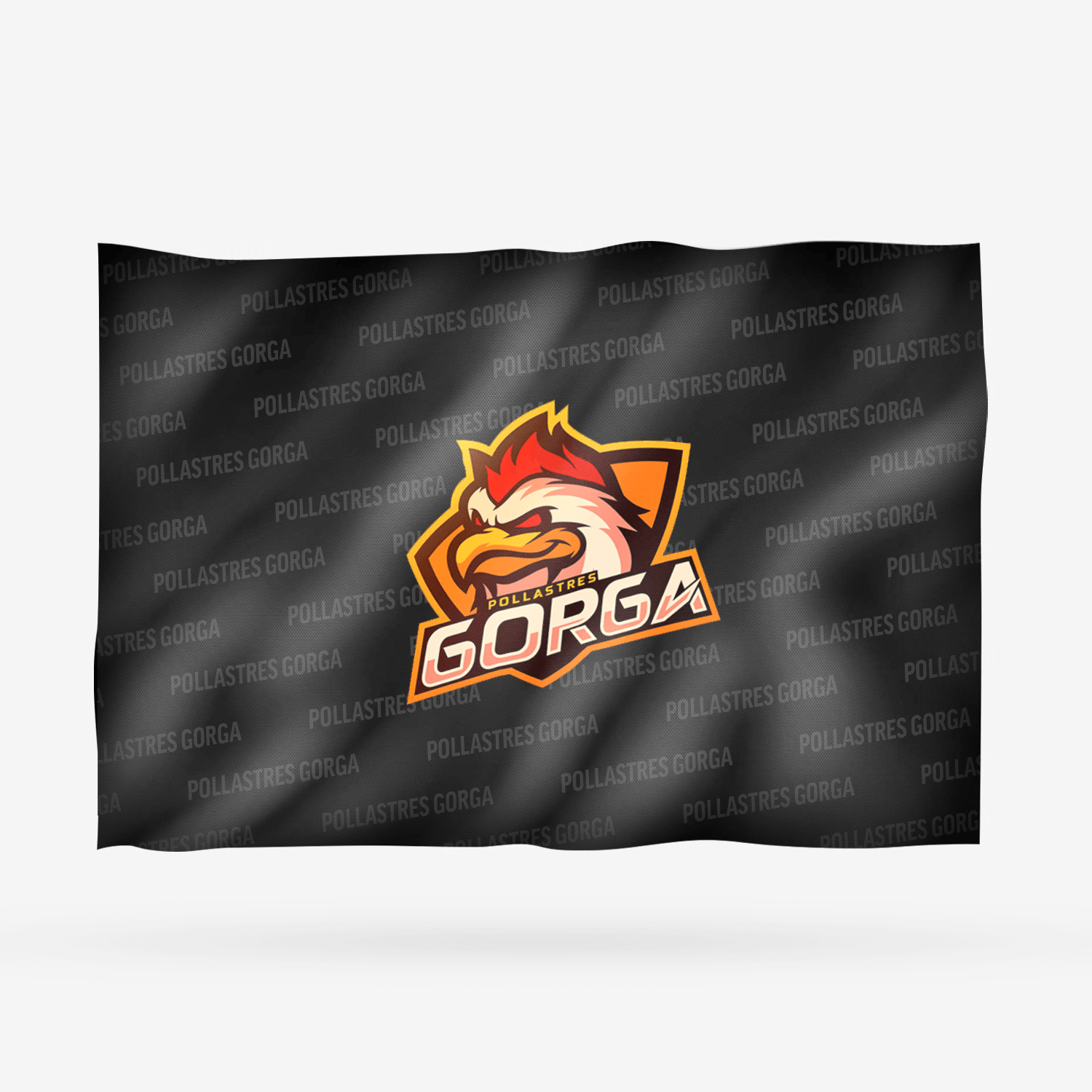 POLLASTRES GORGA ALTERNATIVA - Imagen 11