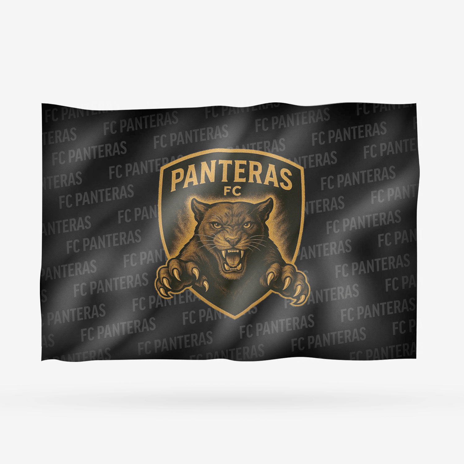 FC PANTERAS - Imagen 11