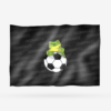 COCORANAS F.C. - Imagen 7