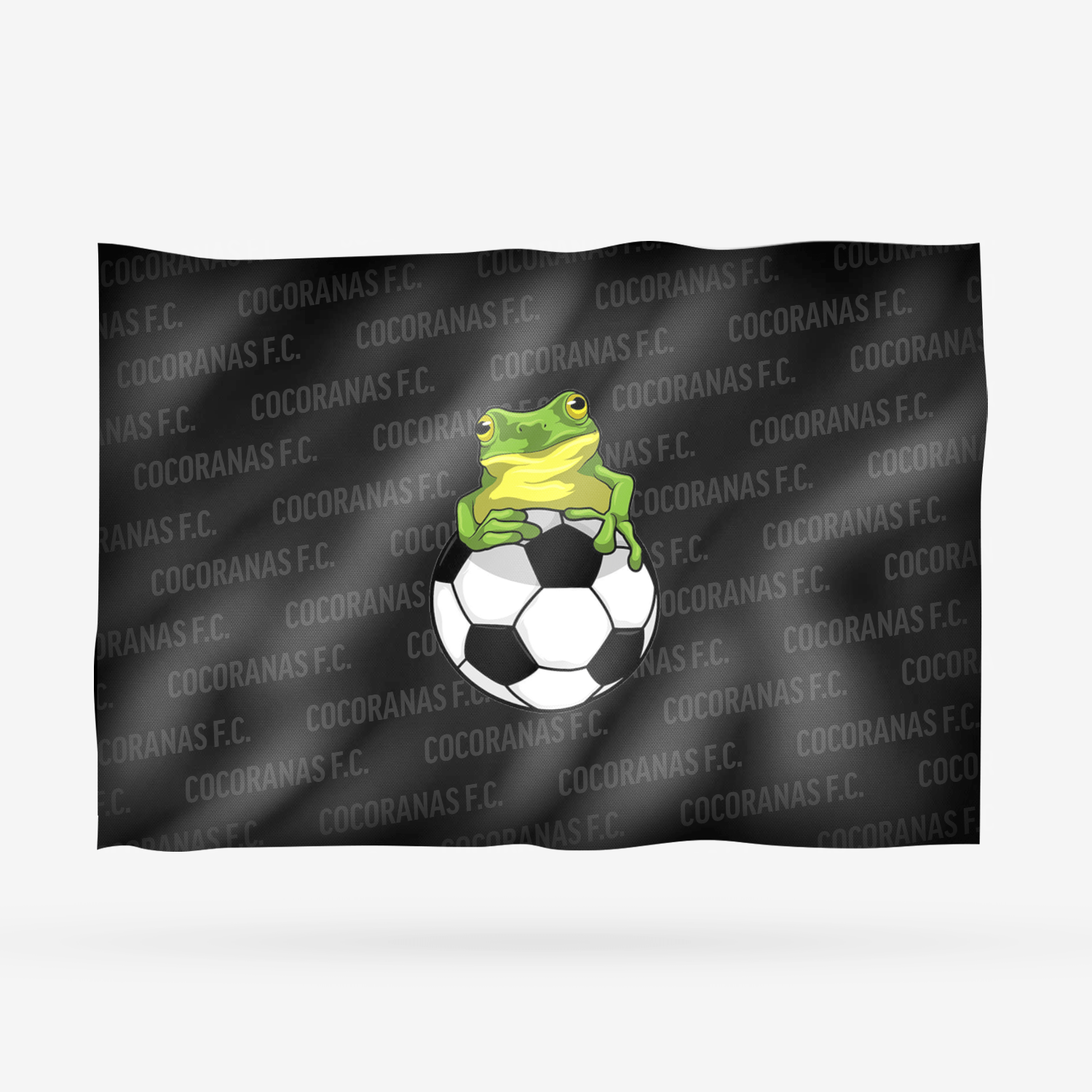 COCORANAS F.C. - Imagen 7