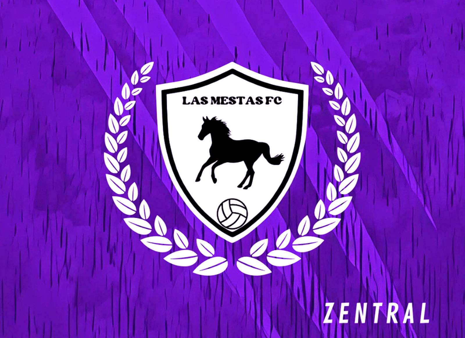 LOS MESTAS FC - Imagen 4