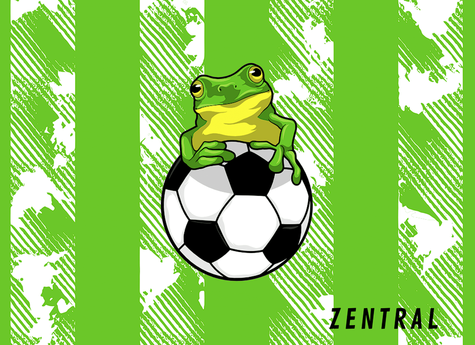 COCORANAS F.C. - Imagen 4